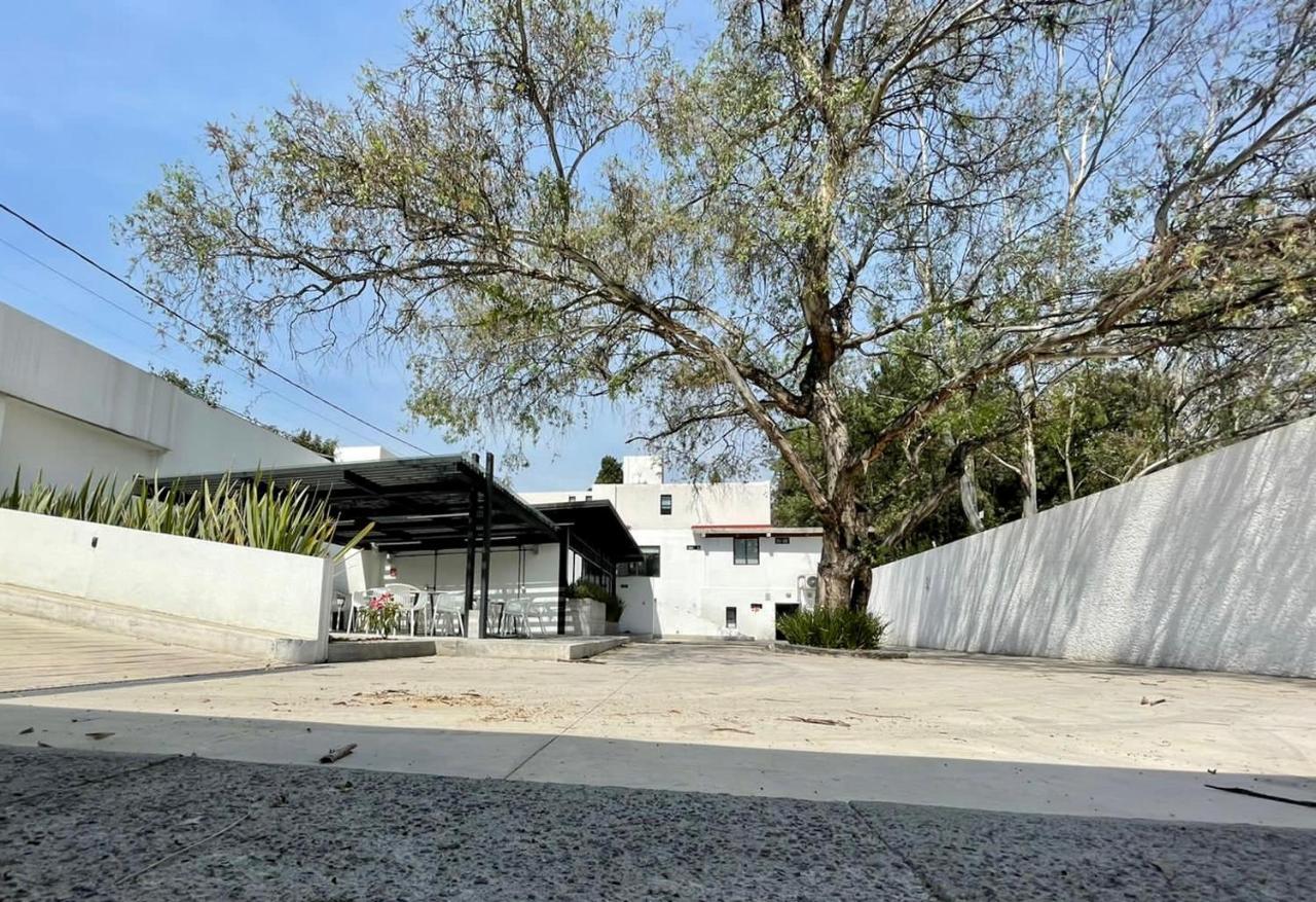 Bed and Breakfast Casa Bonsai à Mexico Extérieur photo